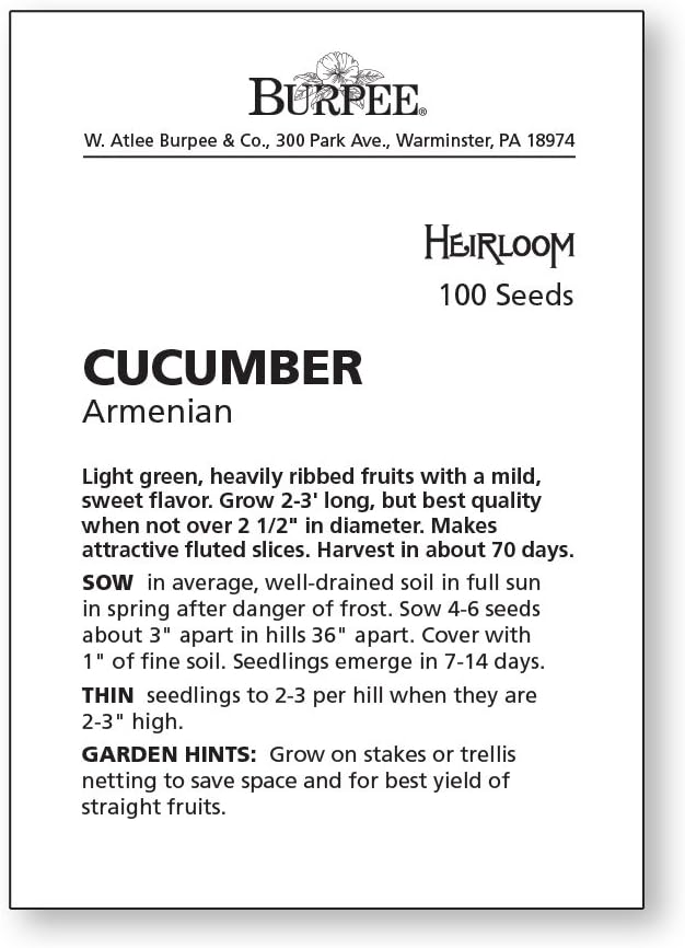 Burpee 'Armenian' Cucumber Seeds, 100 Non-GMO seeds, Heirloom