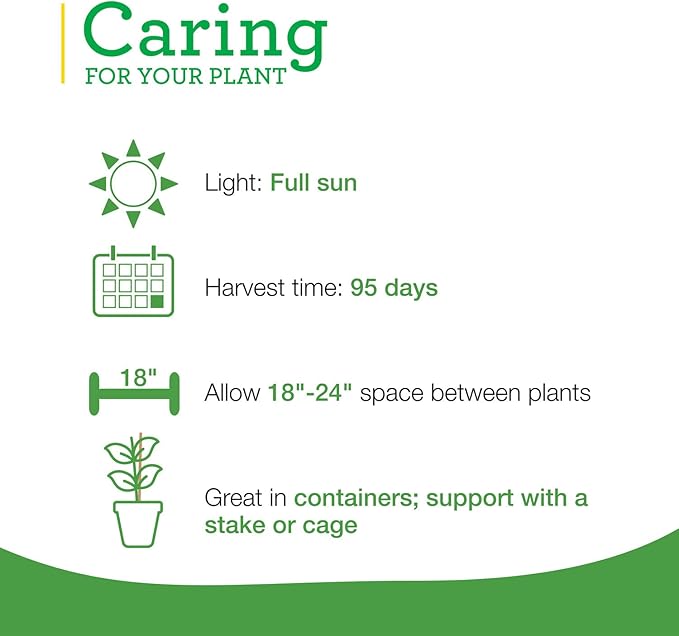 Bonnie PLANTS Habanero Pepper - 4 Pack Live Plants, 1 - 2" Fruits, 24 - 36" Tall Plants, Great for Sauces & Basting,Orange