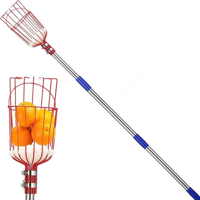 Fruit Picker Pole with Basket - Apple Picker Long Handle Telescoping, 5.5 FT Stainless Steel Fruit Picking Pole Extendable Fruit Catcher Tool for Avocado, Apricot, Pear, Orange, Mango Trees Picking