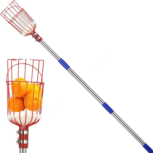 Fruit Picker Pole with Basket - Apple Picker Long Handle Telescoping, 5.5 FT Stainless Steel Fruit Picking Pole Extendable Fruit Catcher Tool for Avocado, Apricot, Pear, Orange, Mango Trees Picking