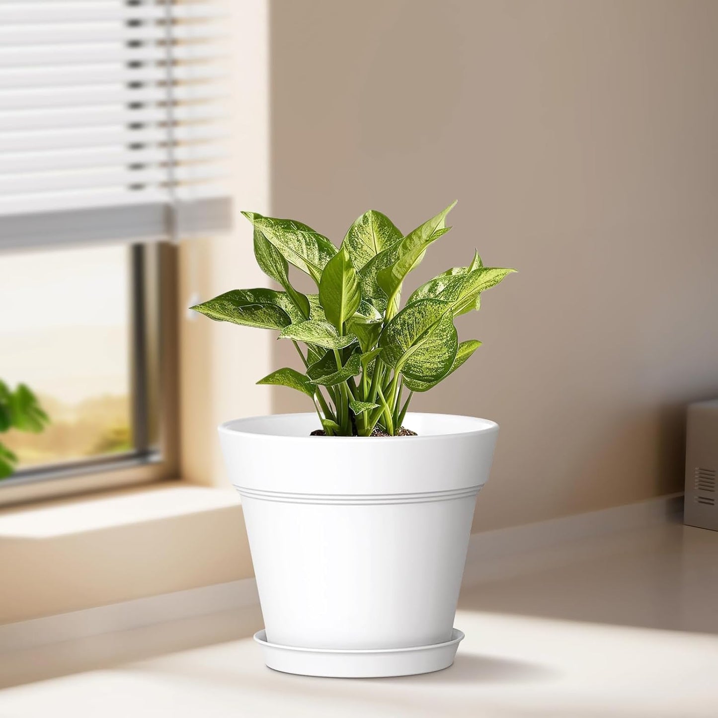 6 Inch Thick Plastic Plant Pots with Drainage Holes and Trays – 6 Pack Nursery Pots for Indoor & Outdoor House Plants, Seedling Starter Planters for Garden Flowers, White