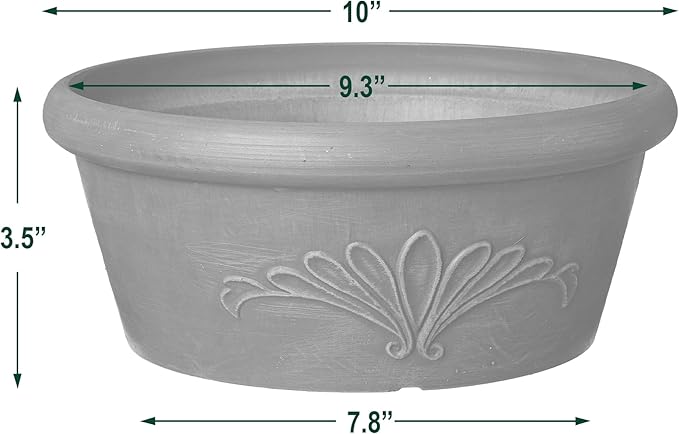 Arcadia Garden Products PSW Pot TA25C Collection Shallow Bulb Pan Planter Dish Low Bowl for Succulents, Bonsai, Fairy Gardens, Herbs, 10-inch, Chocolate