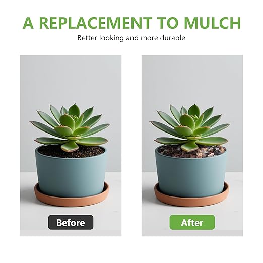 5 lbs Lava Rocks for Plants, 1/5 Inch Pea Gravel for Pots Indoor, Succulent, Terrarium, Cactus, Bamboo, Bonsai Tree, Mixed Color Volcanic Rocks for Top-Dressing, Good Drainage