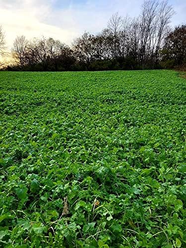 Premium Blend | Select Seed Blends | Food Plot Seeds for Deer | Perennial | All Season High Protein Deer Feeder | Clover Seeds, Winter Peas, & More | Plants 1/4 Acre | 5 lb Bag