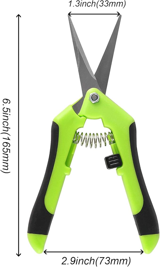 8 Pack 6.5 Inch Gardening Scissor Hand Pruner, Precision Tip Pruner with Straight Stainless Steel Blades, Pruning Shears Hand Pruners for Gardening Plant Flower Bonsai, Green