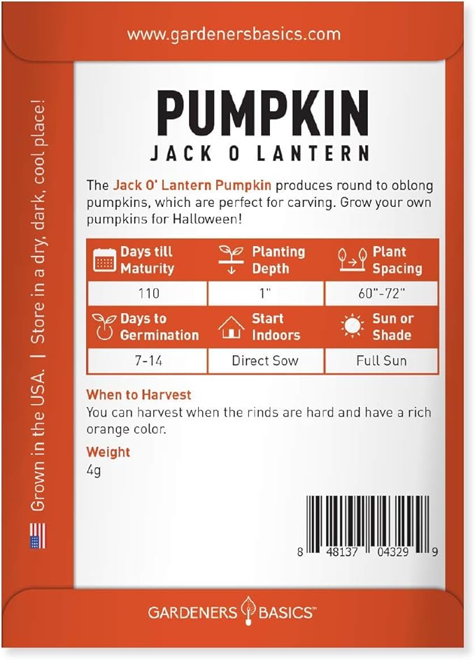 Gardeners Basics, Pumpkin Seeds for Planting (Jack O Lantern) Heirloom, Non-GMO Vegetable Variety- 2 Grams Seeds Great for Summer Pumpkin Gardens