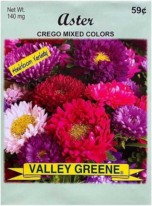Set of Flower Seed Packets! Flower Seeds in Bulk - Great for Creating The Garden of Your Dreams! (50, Aster - Crego)