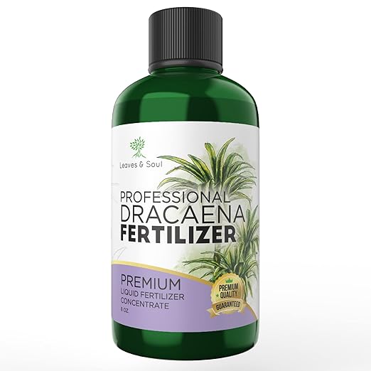 Professional Liquid Dracaena Plant Fertilizer | 3-1-2 Concentrate for Indoor Plants | Multi-Purpose Blend & Gardening Supplies | 8 oz Bottle