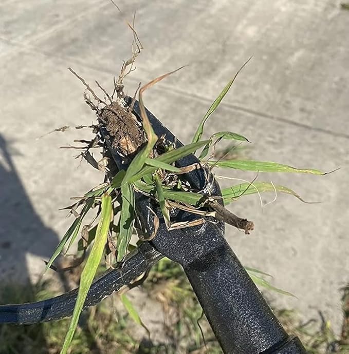 Stand Up Weed Puller Tool with Long Handle, 3-Section Bamboo Construction & 4-Claw Steel Head Design, Easily Remove Weeds Without Kneeling