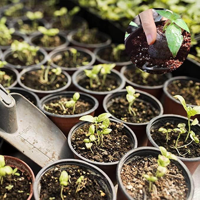 ZeeDix 200 Pcs 40mm Peat Pellets for Seedlings, Compressed Seed Starter Soil Dirt Pods Plugs Peat Moss Pellets Soil Pellets for Seed Starting, Gardening, Planting Flowers Herbs and Vegetables