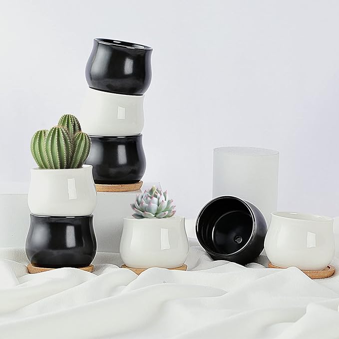 12 Pack Succulent Plant Pot, Mini 2.6 inch Ceramic Flower Planter Pot with Bamboo Tray, Small Pots for Plants, Plants Not Included （White, Black）