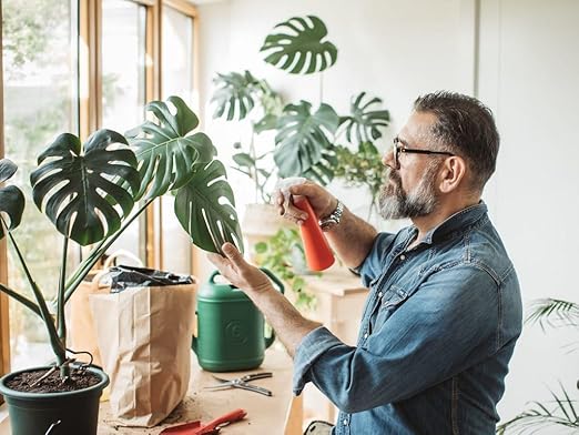 Monstera-Specific Organic Liquid Kelp Fertilizer - 16 oz - Boost Your Monstera's Growth and Leaf Development Naturally