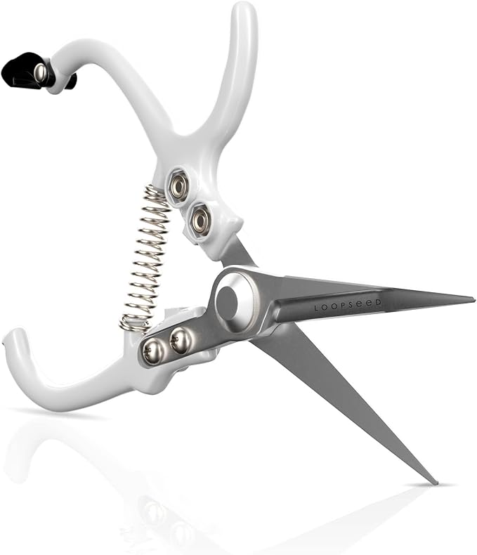 Plant Pruning Shears Garden Trimming Scissors Precision Hand Pruner Herb Snips Flower Clippers Bonsai Trimmers Straight Sharp Blade Tapered Tip Ergonomic Handle Modern Garden Tools