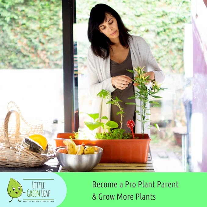 LGL Plant Watering Globes. Self Watering Planter Inserts Made from Hand-Blown Durable Glass. Self Watering Spikes to Support Plant Health. (4pk Small)