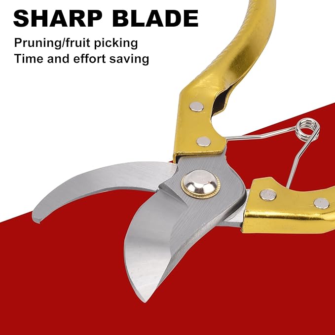 Tree Trimmers Secateurs, Hand Pruner, Garden Scissors for Plant,Pruning Shears for Gardening, Garden Hand Shears, Pruners for Gardening, Garden Clippers, Hedge Shears, Garden Tools （golden)