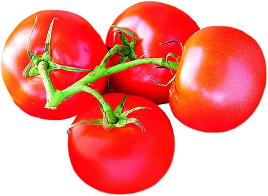 Park Seed Variety of Tomato Vegetable Seeds, Plant Seeds, Easy to Grow, Perfect for Harvesting, Celebrity Hybrid, Pack of 30