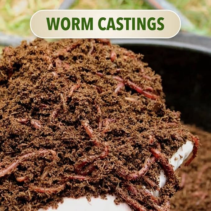 PreMixed Super Soil 3 Gallon Pot - Every Thing Included for The Perfect Grow (add only Seed and Water)