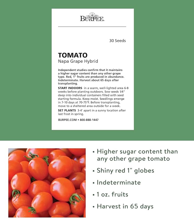 Burpee 'Napa Grape', Tomato Seeds, 30 Non-GMO Seeds