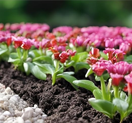 FGY 120PCS Drip Irrigation Fittings Kit for 1/4" Tubing - Couplings, Tees, Elbows, End Plugs - Barbed Connectors for Drip System