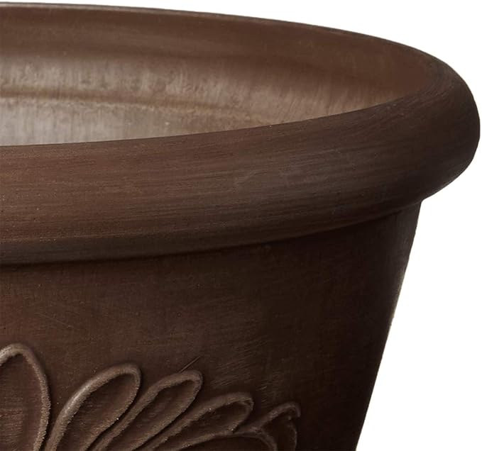 Arcadia Garden Products PSW Pot TA25C Collection Shallow Bulb Pan Planter Dish Low Bowl for Succulents, Bonsai, Fairy Gardens, Herbs, 10-inch, Chocolate
