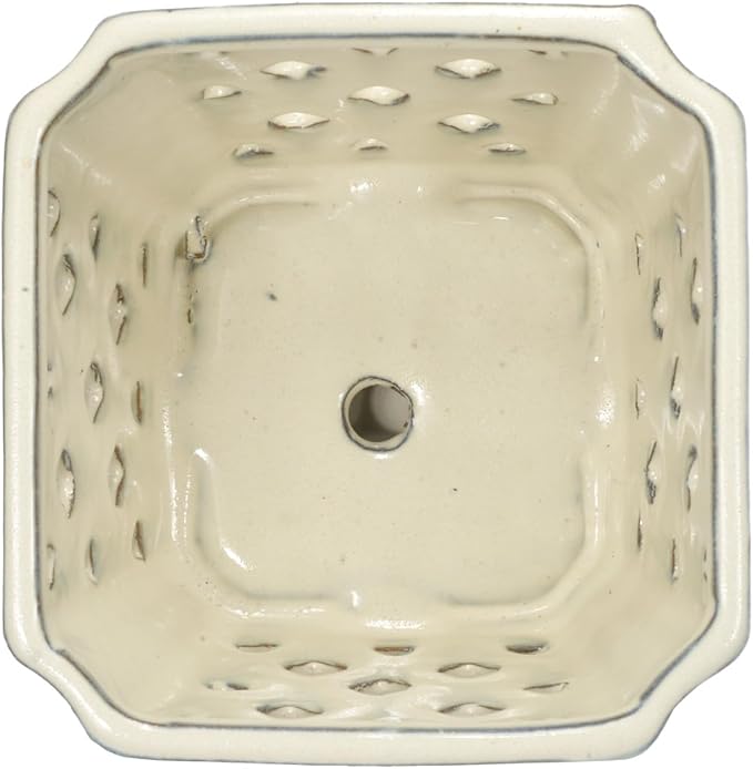 W&W Orchid Pot with Holes and Saucer for Repotting and Better Grow, Cream White, 7 Inches