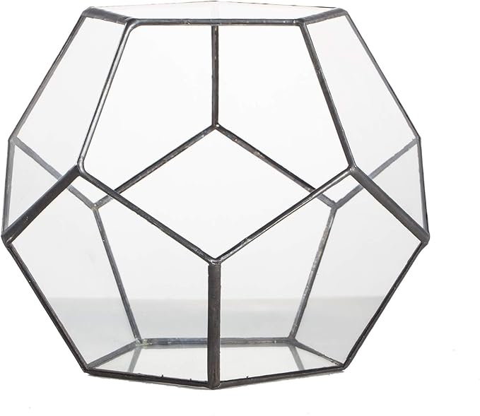 NCYP Small Open Terrarium Planter - 6.89" x 6.89" x 5.9" Pentagon Geometric Glass Container Pot for Succulents, Air Plants - Home Garden Tabletop Miniature Decor, Black (No Plants)