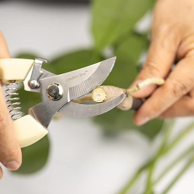 14-Pack Gardening Scissors,Pruning Shear, Florist Scissors for home and gardening