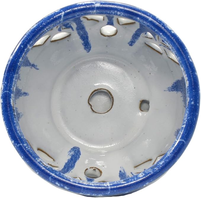 W&W Orchid Pot with Holes and Saucer for Repotting and Better Grow, Blue and White, 6.5 Inches
