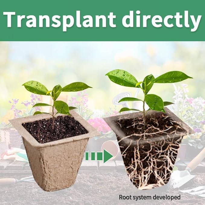 SYITCUN 240 Cells Seed Starter Tray, 20 Pack Biodegradable Seed Starter Kit, Peat Pots for Seedlings with 200 Plant Labels, 2 Seed Planting Tool and 1 Spray Bottle