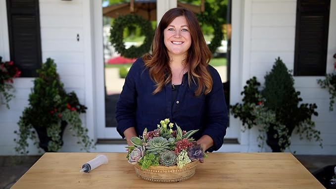 Espoma Organic Cactus Potting Soil Mix, Natural & Organic Soil for Cactus, Succulent, Palm, and Citrus grown in containers both indoors and outdoors, 4 qt, Pack of 2