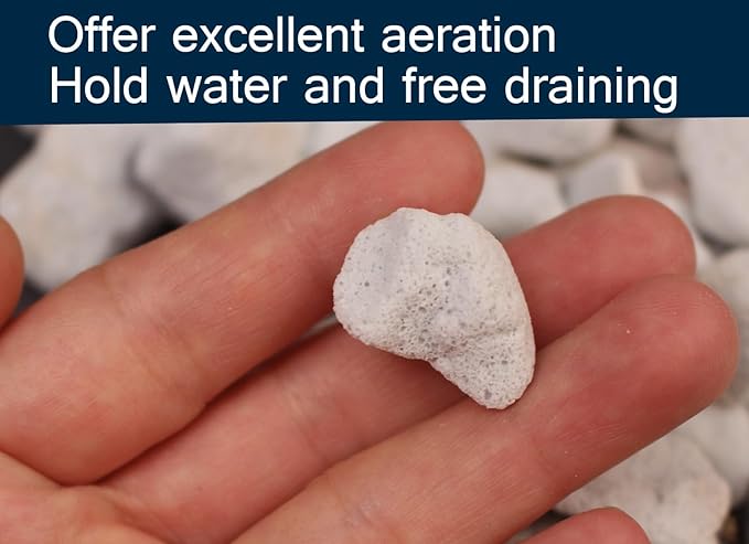 30 QT Professional Grade Horticultural Organic Perlite (30 QT, Large Size - Perlite)