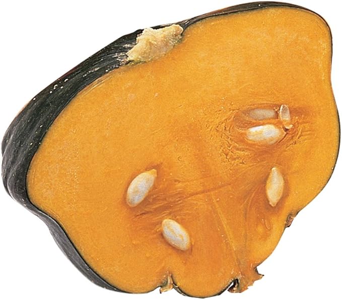 Burpee Buttercup Burgess Strain Winter Squash Seeds 30 seeds