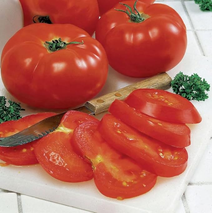 Park Seed Variety of Tomato Vegetable Seeds, Plant Seeds, Easy to Grow, Perfect for Harvesting, Big Beef Hybrid, Pack of 1000