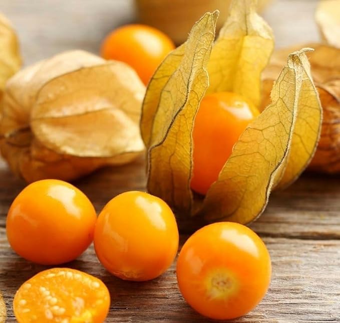 Seeds Ground Cherry (Cape Gooseberry, Goldenberry) Orange Physalis Vegetable for Planting Non GMO