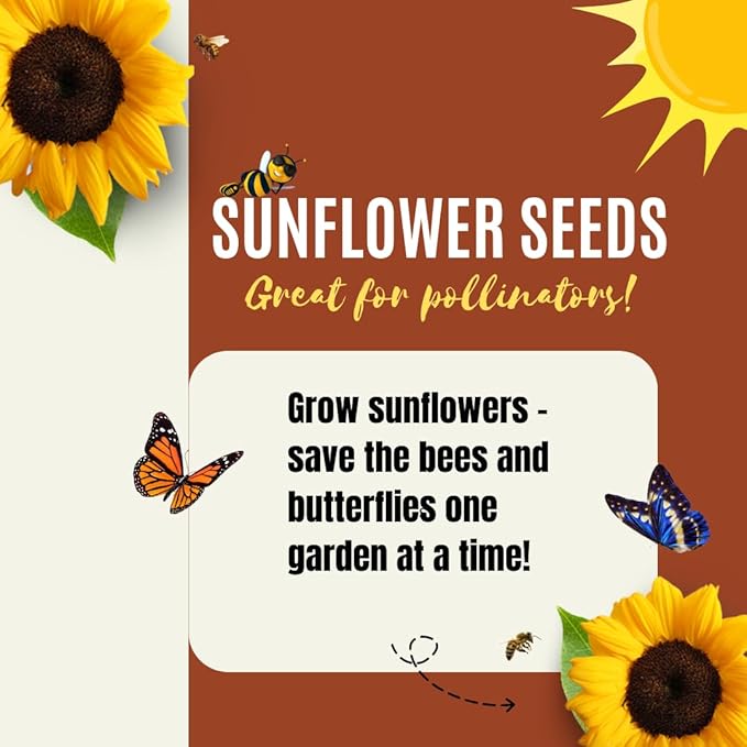 Sunflower Seeds for Planting to Plant Mammoth Sunflower Seeds Packet of About 100 Flower Seeds (Asteraceae Asterales Helianthus giganteus) !