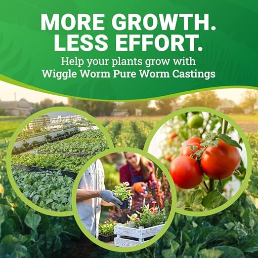 100% Pure Organic Worm Castings Fertilizer, 30-Pounds (4 Pack) - Improves Soil Fertility and Aeration for Houseplants, Vegetables, Gardens, and More – OMRI-Listed and Mineral-Dense