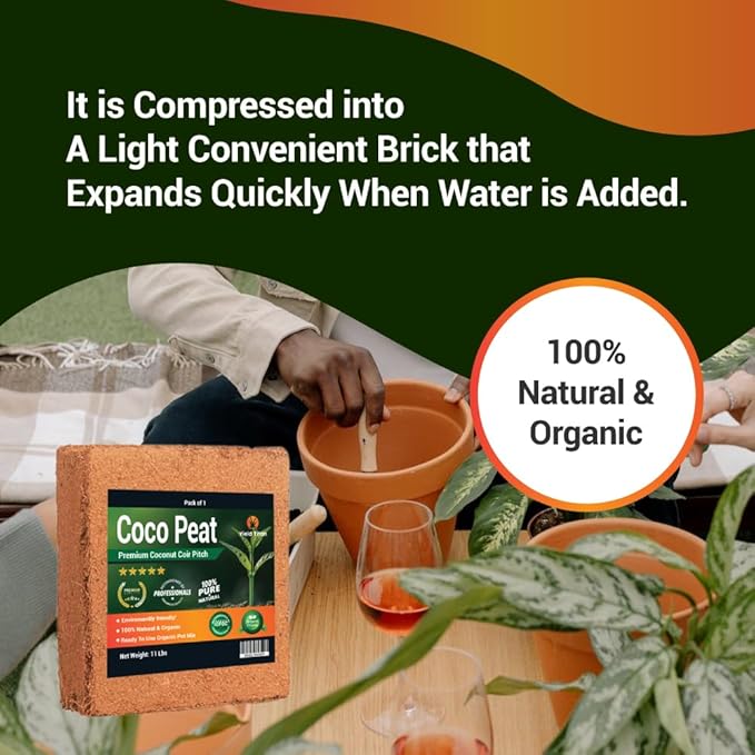 Coco Coir (650 Grams, 5+1 Bricks) - Compressed Coco Coir Bricks with Low EC and pH Balance - High Expansion Coco Fiber for Herbs, Flowers, Planting - Renewable Coconut Soil (Pack of 5+1 Bonus Brick)