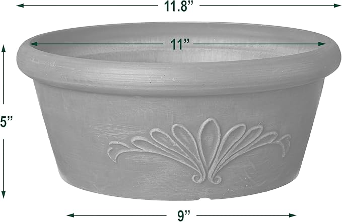 Arcadia Garden Products PSW Pot TA30DC Collection Shallow Bulb Pan Planter Dish Low Bowl for Succulents, Bonsai, Fairy Gardens, Herbs, 12-inch, Dark Charcoal