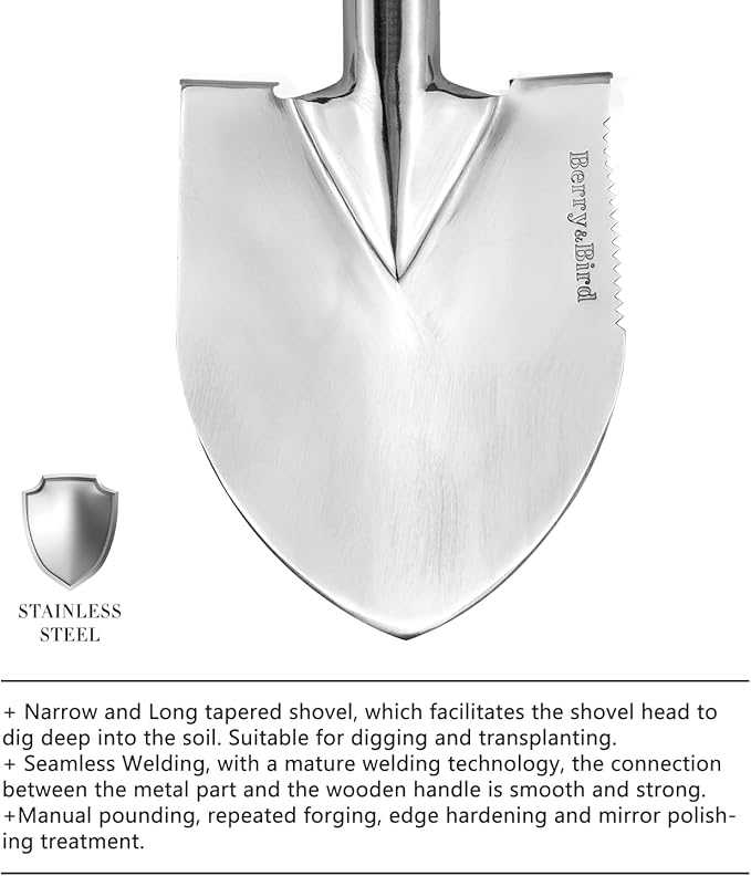 Berry&Bird Short Hand Shovel, 19.8’’ Digging Trowel for Gardening with Wood Handle Stainless Steel Round Point Spade Shovel with Serrated for Cutting, Transplanting & Weeding
