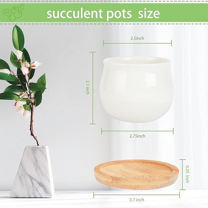 Succulent Pots, White Mini 2.5 inch Ceramic Flower Planter Pot with Bamboo Tray, Pack of 12 - Plants Not Included