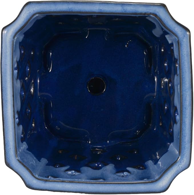 W&W Orchid Pot with Holes and Saucer for Repotting and Better Grow, White and Blue, 7 Inches
