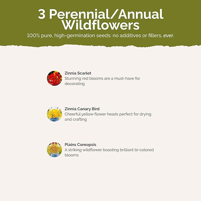 Eden Brothers Fiery Flower Mixed Seeds for Planting, 5 lb, 2,400,000+ Seeds with Zinnia Scarlet Flame, Plains Coreopsis | Attracts Pollinators, Plant in Spring or Fall, Zones 3, 4, 5, 6, 7, 8, 9, 10