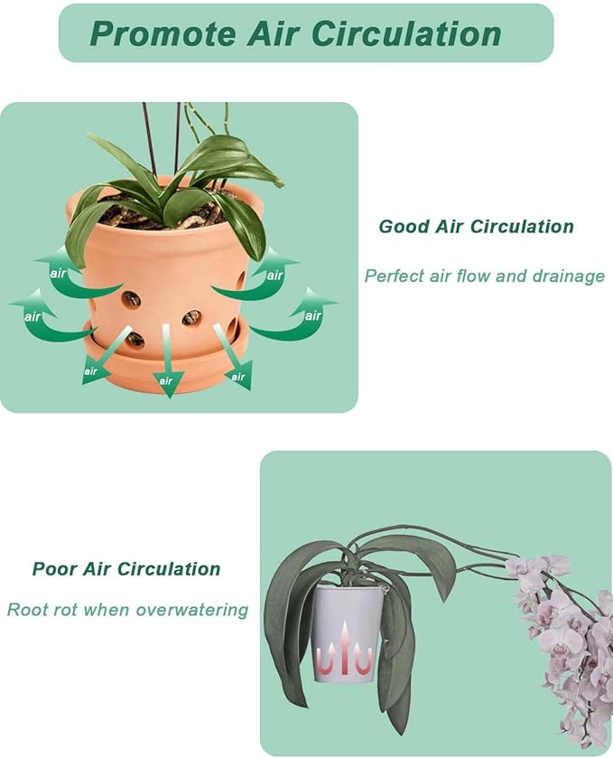 vensovo 4 Inch Terracotta Orchid Pots with Holes and Saucers - 6 Pcs Small Clay Planters for Repotting, Terra Cotta Pot for Plants Indoor and Outdoor Promotes Air Circulation