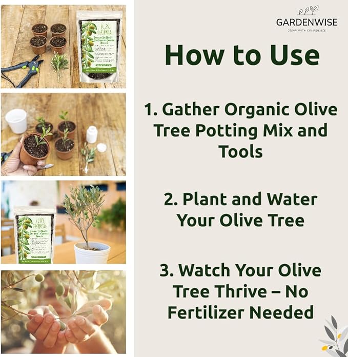 Organic Olive Tree Potting Mix – Fast-Draining, Nutrient-Rich Soil for Indoor & Outdoor Olive Trees – Mediterranean Plant Care – Long-Lasting Formula (2 QUARTS)