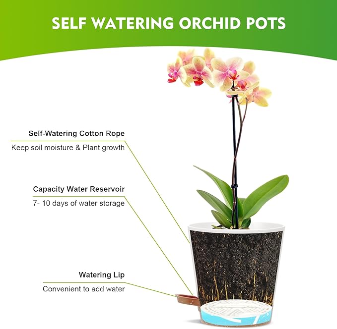 JGB Self Watering Orchid Pots - Each of 5, 6, 7 and 8 inch -4 Pack Orchid Pots with Holes and Plastic Breathable Orchid Planters for Repotting - White