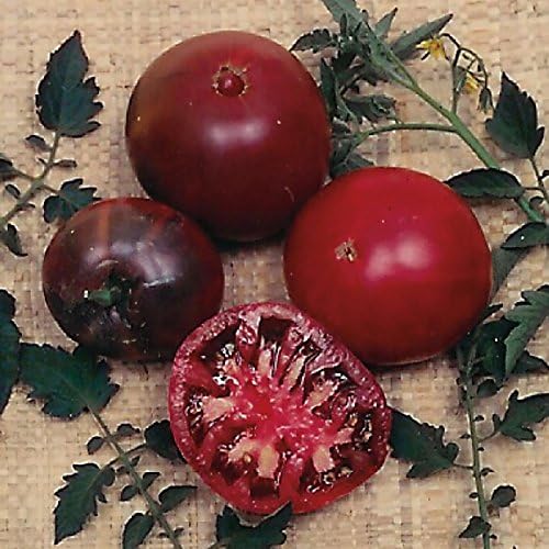 Park Seed Variety of Tomato Vegetable Seeds, Plant Seeds, Easy to Grow, Perfect for Harvesting, Black Krim, Pack of 30