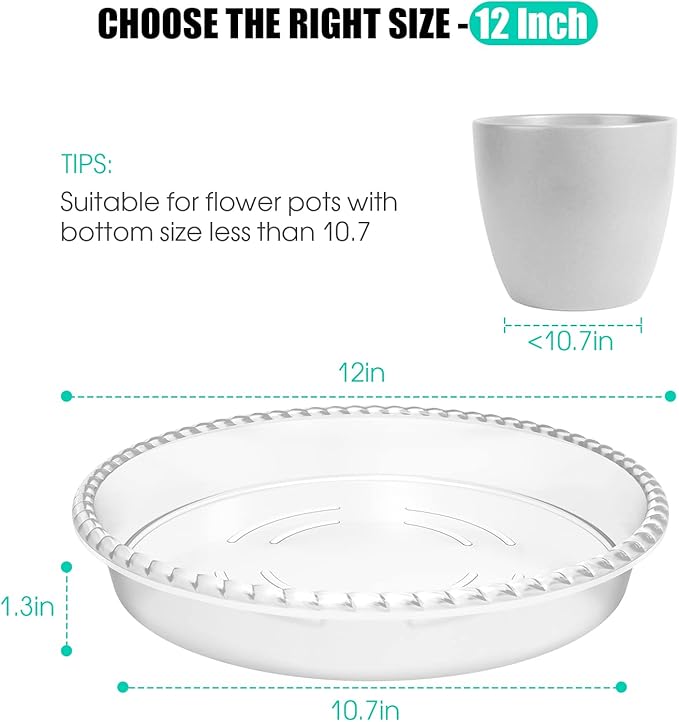 6 Pack Plant Saucer 6 8 10 12 14 Inch Plastic Plant Tray, Sturdy and Durable Flower Pot Container Accessories Plant Pot Saucers for Indoor and Outdoor (12 Inch, Clear)
