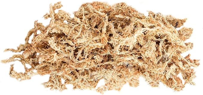 SuperMoss (22325) Orchid Sphagnum Moss Dried, Natural, 1 Pound Mini Bale