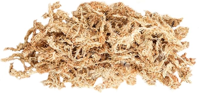 SuperMoss (22330) Orchid Sphagnum Moss Dried, Natural, 2.1lbs Small Bale