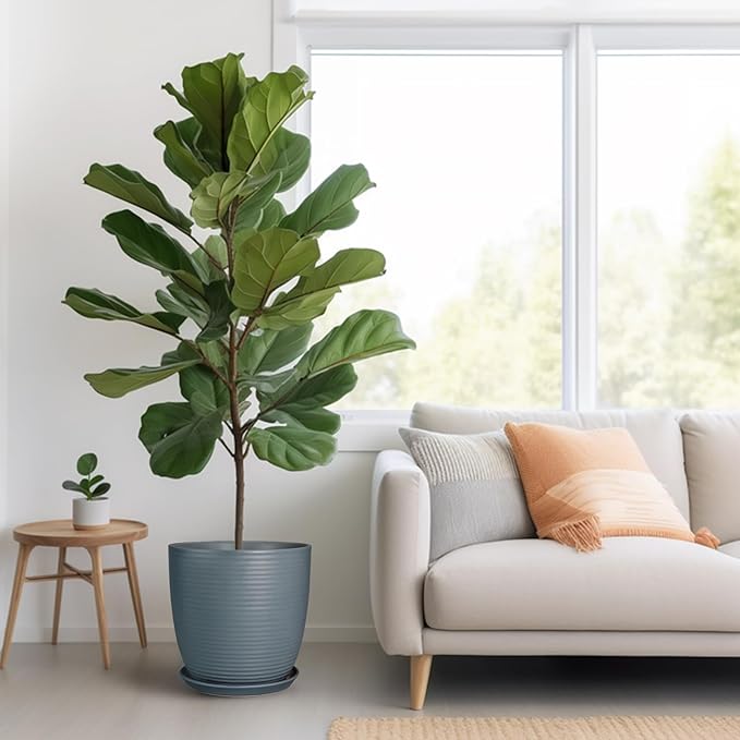 12 Inch Pots for Plants Ceramic Planter Pot Large Flower Pot with Drainage Hole and Saucer for Home Patio Garden Office Indoor Outdoor Gray